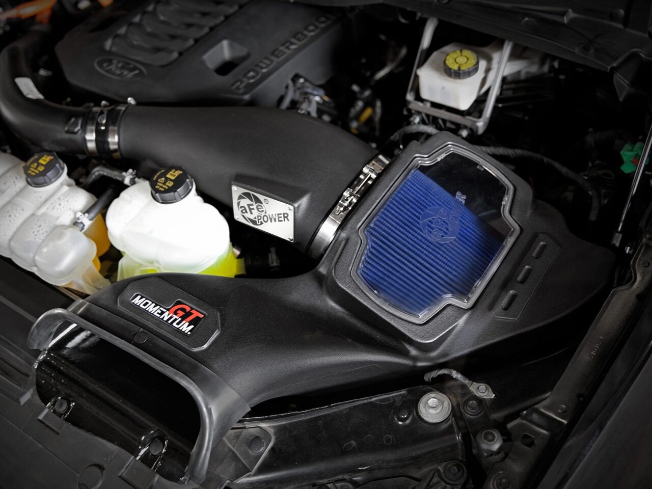 aFe POWER black rotomolded intake with blue oiled filter installed in 2022 Ford F-150 V6 engine