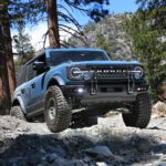 TERRA GUARD Off-Road Slider and Bull Bar for 2021-25 Ford Bronco