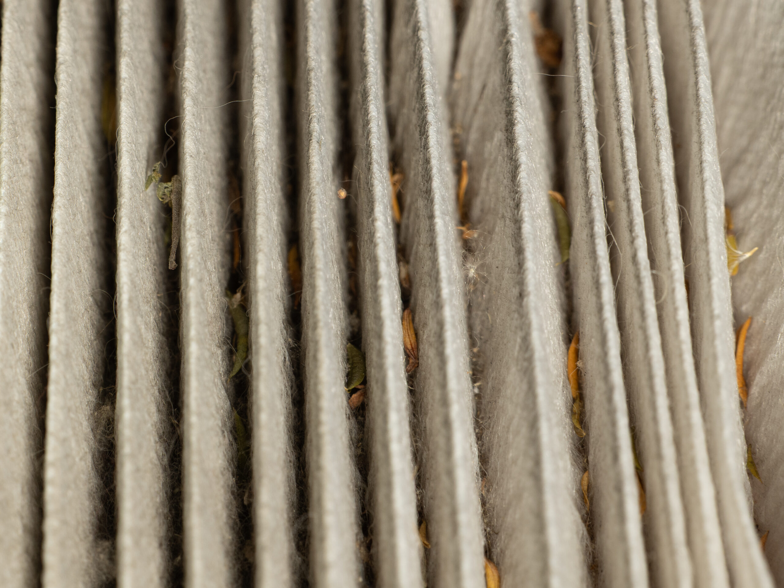 Dirty Cabin Air Filter